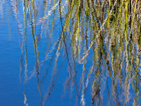 SE - P SA Au L 70208 Fraser Island Lake Reflections_MG_2097