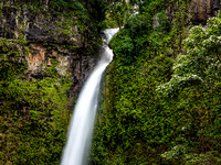 SE - P SA Au L 110504 Nandroya Falls Atherton-0596