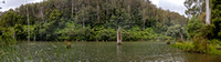 CH - P SA Au L 114211 Lake Elizabeth Forrest VIC- _56A3045-Pano