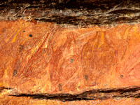 SE - P SA Au L 91999 Ubirr Kakadu NT_MG_3435