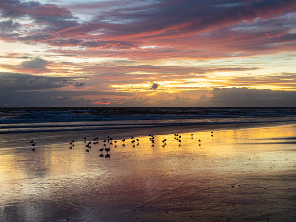 CA - P SA Au L 117316 Fingal Beach_56A9951