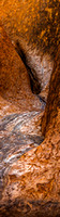 CV - P SA Au L 88875 Uluru_MG_6087