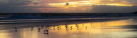 CH - P SA Au L 117316 Fingal Beach_56A9951
