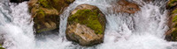 CH - P SA Au L 101829 Lower Hollyford Rd Track NZ_MG_4225