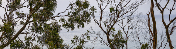 P SA Au L 113525 Beacons Point VIC- _56A1858