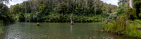 CH - P SA Au L 114222 Lake Elizabeth Forrest VIC- _56A3058-Pano