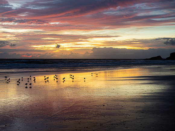 CA - P SA Au L 117318 Fingal Beach_56A9953
