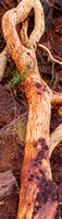 CV - P SA Au L 76091 Karijini NP Pilbara_MG_8022-Pano