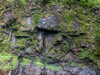 CA - P SA Au L 110491 Nandroya Falls Atherton-0510