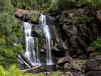 CA - P SA Au L 115886 Stevensons Falls Otways VIC- _56A2689