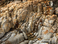 CA - P SA Au L 118391 Noosa Headland_56A3579