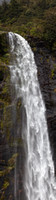 CV - P SA Au L 101072 Milford Sound NZ_MG_3398-2