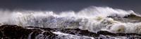CH - P SA Au L 116773 Snapper Rocks_56A9159