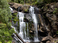 CA - P SA Au L 115876 Stevensons Falls Otways VIC- _56A2662