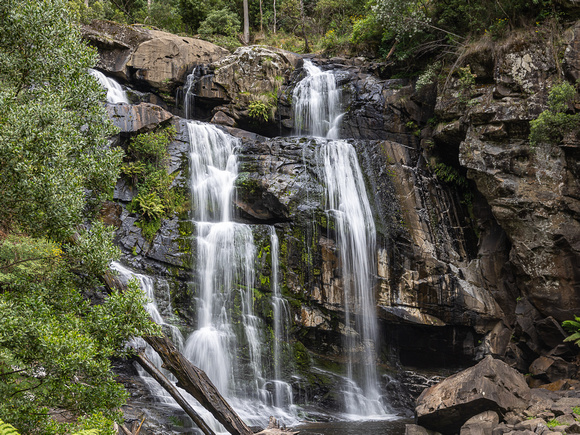 CA - P SA Au L 115876 Stevensons Falls Otways VIC- _56A2662
