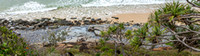 CH - P SA Au L 118469 Noosa Headland_56A3657