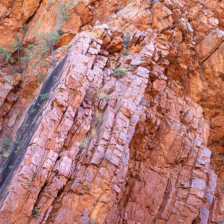 CS - P SA Au L 86543 Emily Gap East McDonnell Ranges