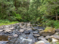 CA - P SA Au L 115933 Stevensons Falls Otways VIC- _56A2782