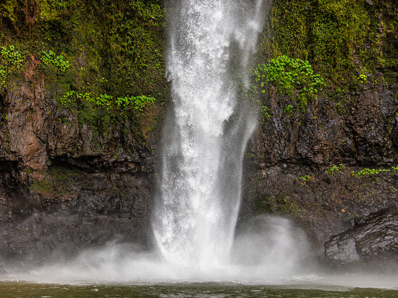 CA - P SA Au L 110498 Nandroya Falls Atherton-0531